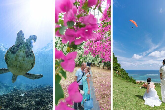 Miyako Island Half-day Private Tour - The Sum Up