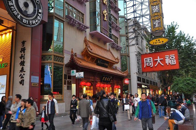 Modern Shanghai Half Day Private Walking Tour - How the Experience Feels in Practice