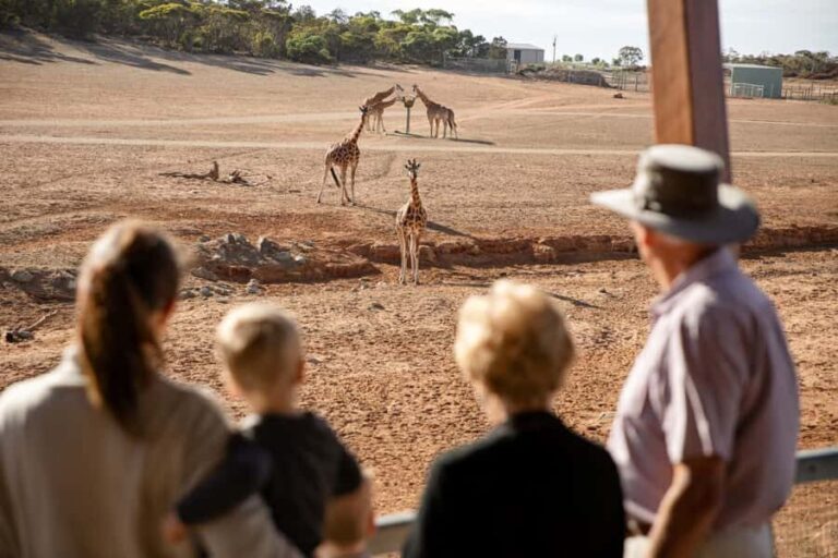 Monarto Safari Park: General Admission Tickets - An In-Depth Look at Monarto Safari Park
