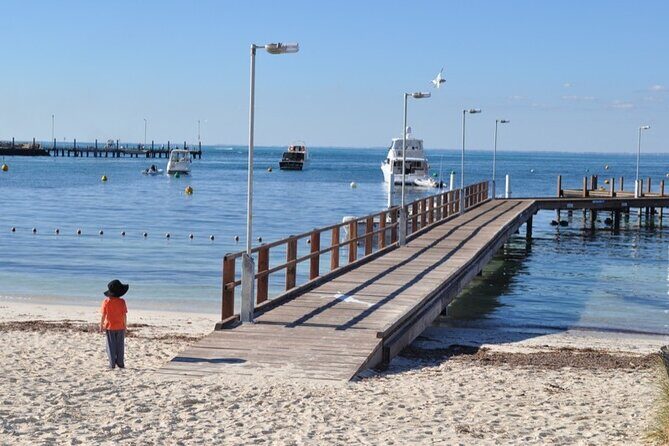 Monkey Mia Dolphins & Shark Bay Air Tour From Perth - Who Will Love This Tour?