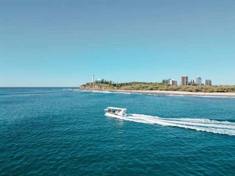 Mooloolaba: Adventure Rafting Turtle Tour - The Highlights of the Tour