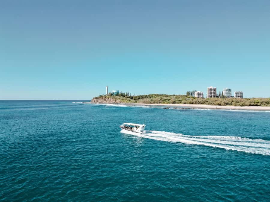 Mooloolaba: Adventure Rafting Turtle Tour - The Highlights of the Tour