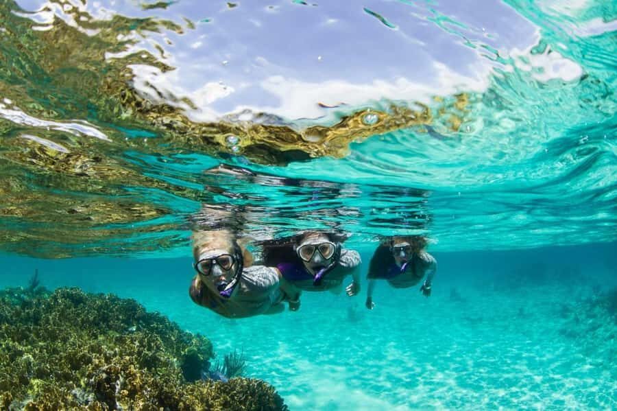 Mooloolaba: Snorkel with Turtles Mudjimba Island - An In-Depth Look at the Experience