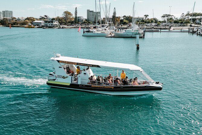 Mooloolaba Whale Watching Small Group Tour - Final Thoughts on Value and Authenticity