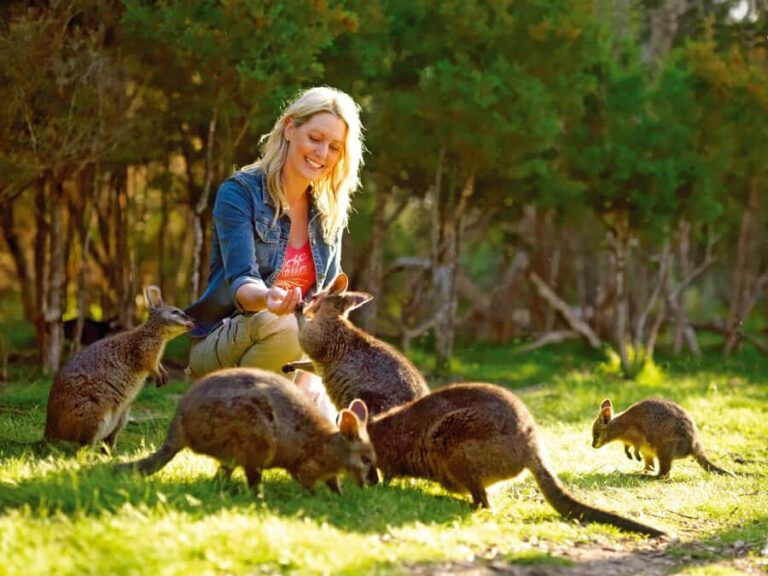 Moonlit Sanctuary Conservation Park Entry Ticket - What You Can Expect at Moonlit Sanctuary
