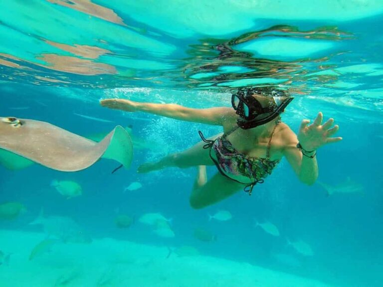 MOOREA 6H PRIVATE BOAT TOURS SNORKELING & LUNCH - The Pickup and Arrival: Starting on Your Terms