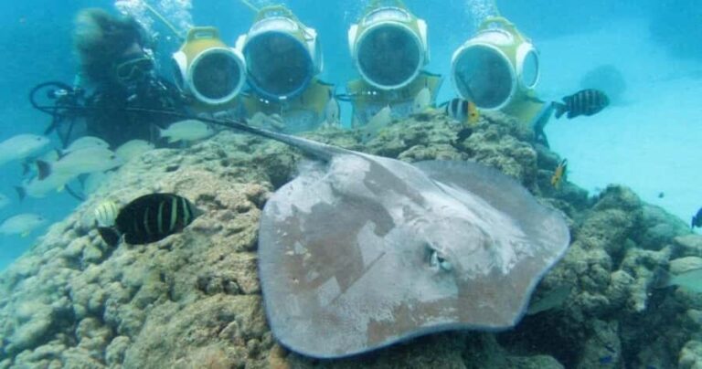 Moorea: Aquablue Helmet Underwater Walking Experience - The Boat Ride: A Scenic Prelude