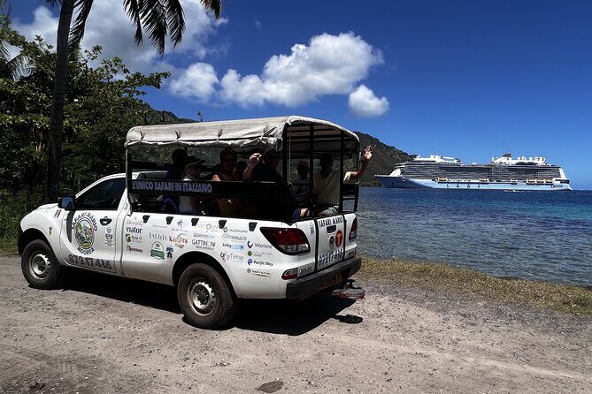 Moorea Cruise Ships: 4x4, Belvedere, Pineapple, & Magic Mountain - Practical Considerations