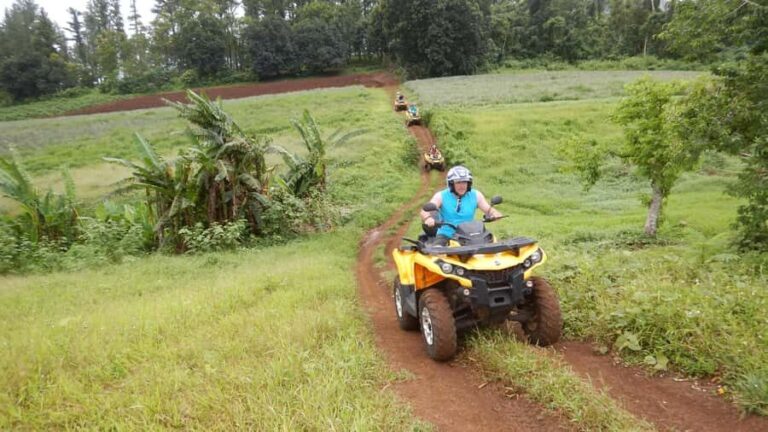 Mo'orea: Guided ATV Nature Tour - What Travelers Say