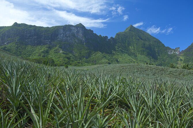 Moorea Highlights Private Tour: Natural and Cultural Attraction - What to Expect from the Itinerary