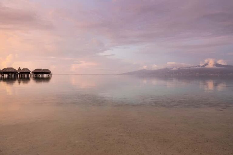 Moorea Highligts: Blue Lagoon Shore Attractions and Lookouts - Practical Details and What to Expect