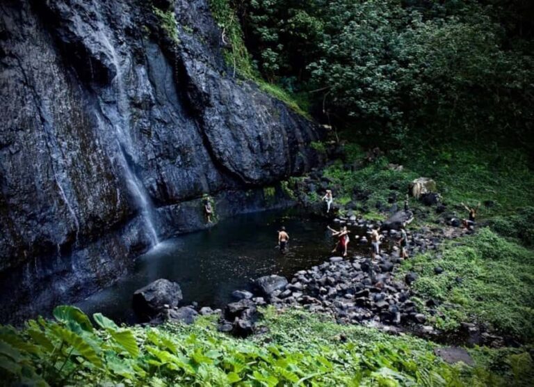 Moorea: Island Tour with Waterfall Hike and Lunch - Practical Details and Considerations