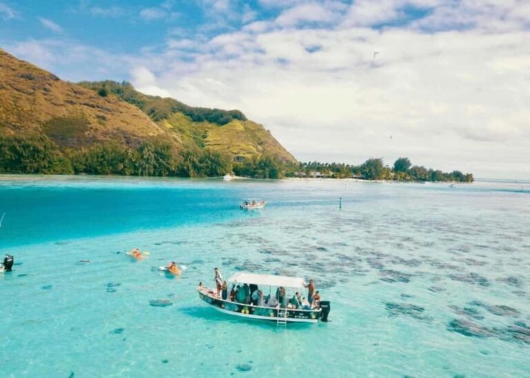 Moorea: Lagoon and Reef Snorkeling Tour with Drinks - A Closer Look at the Moorea Snorkeling Tour