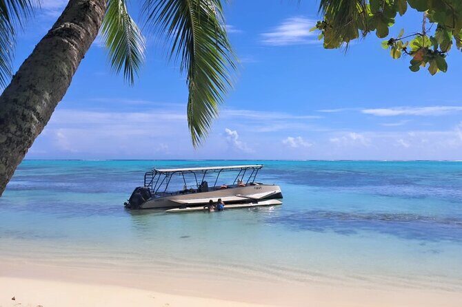 Moorea Lagoon Cruise 3 hours Snorkeling Tour - What Makes This Tour Stand Out?