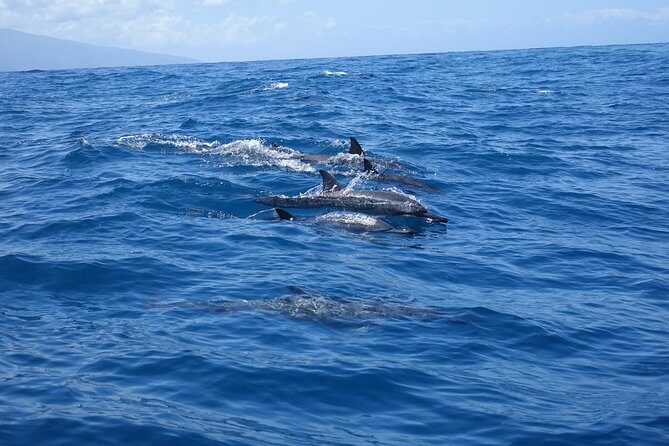 Moorea Private Boat Tour / Sea Scooter Snorkeling Tour - FAQ