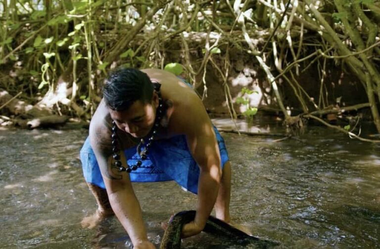 Moorea: Scenic Bus Tour with Guide for Cruise ship passenger - Breakdown of the Itinerary and Experience