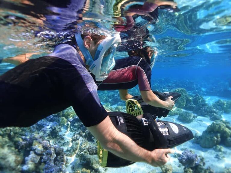 Moorea: Sea Scooter Snorkeling Tour - The Value of This Tour