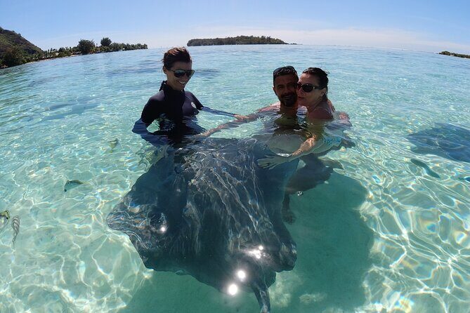 Moorea Solo or Twin 2 hours Jet Ski Tour - Authentic Marine Encounters and Scenic Cruising