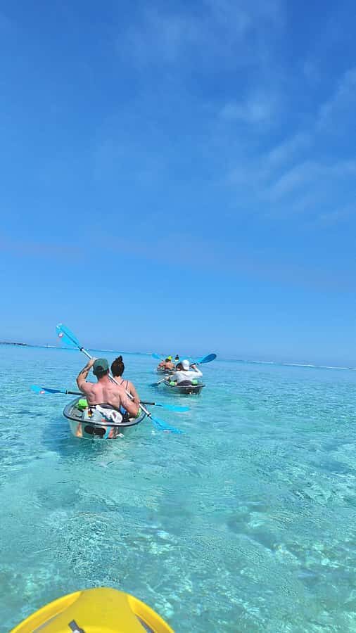 Moorea: Transparent Kayak Day Trip - Who Is This Tour Best For?