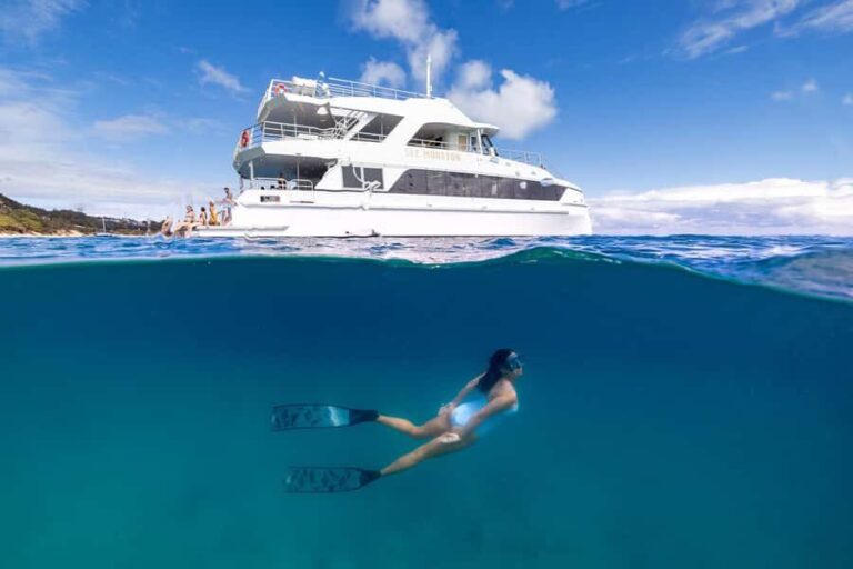 Moreton Island: Dolphin & Tangalooma Wrecks Snorkel Cruise - What Sets This Tour Apart