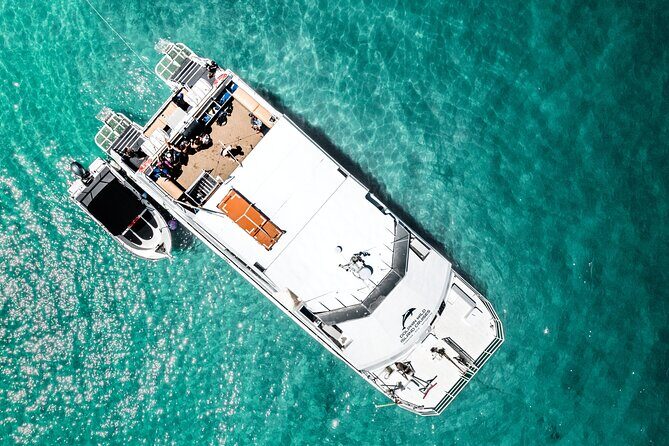 Moreton Island Eco Marine Safari Cruise and Snorkel - What Travelers Are Saying: Authentic Feedback and Highlights