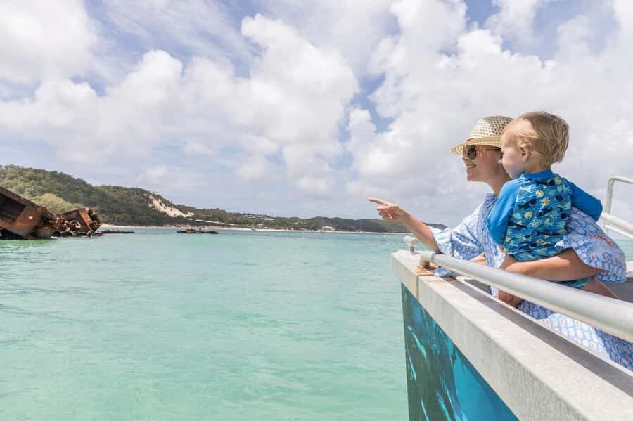 Moreton Island: Marine Discovery Cruise & Dolphin Viewing - Authentic Experiences and Honest Opinions
