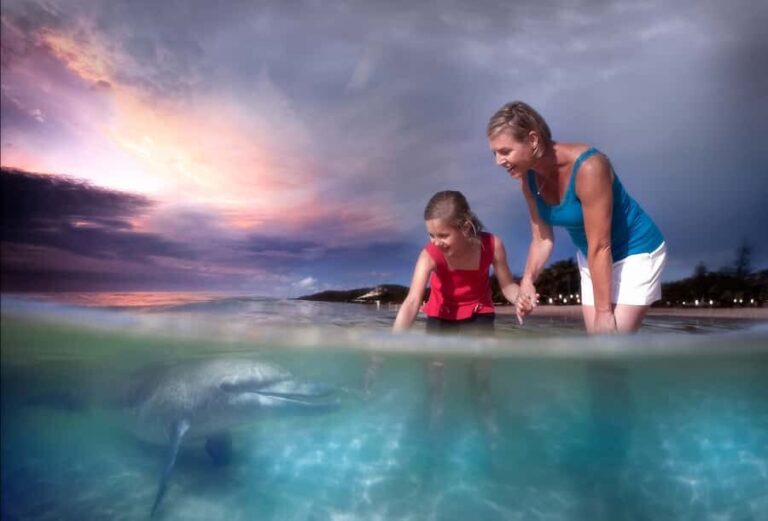 Moreton Island: Tangalooma ATV Quad Bike & Dolphin Feeding - How Does It All Come Together?