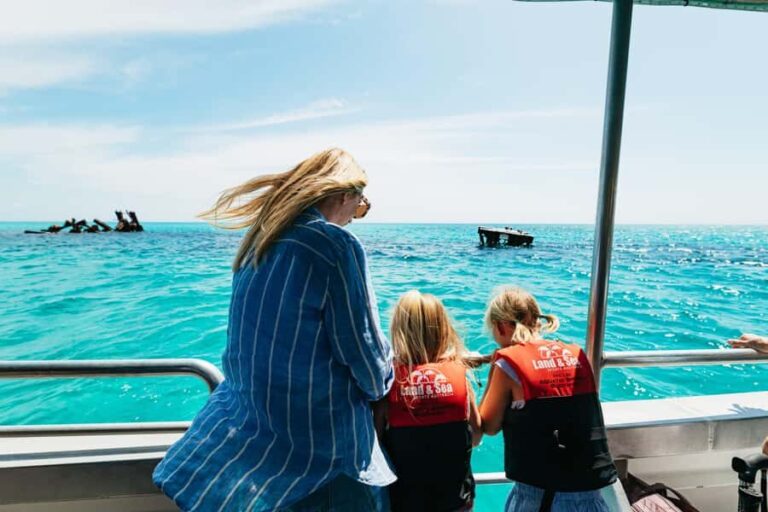 Moreton Island: Tangalooma Day Trip Marine Discovery Cruise - The Sum Up