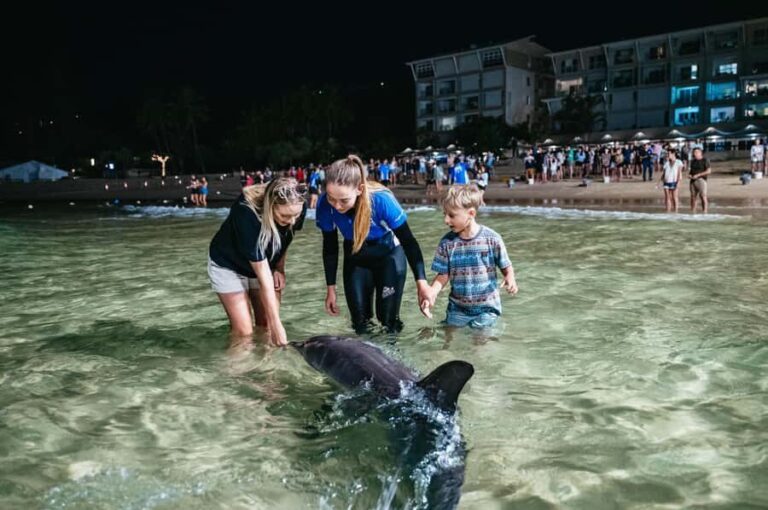 Moreton Island: Tangalooma Desert Safari and Dolphin Feeding - The Overall Experience: Balance and Authenticity