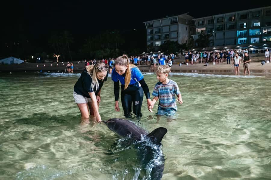 Moreton Island: Tangalooma Desert Safari and Dolphin Feeding - The Overall Experience: Balance and Authenticity