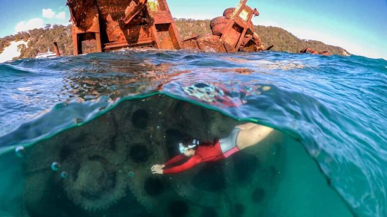 Moreton Island: Tangalooma Snorkeling Tour & Dolphin Feeding - Thorough Breakdown of the Itinerary and What to Expect