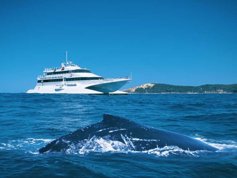 Moreton Island: Tangalooma Whale Watching & Dolphin Feeding - Exploring the Island: Leisure and Learning
