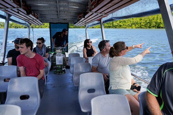 Morning Daintree Tour with River Cruise from Port Douglas - Practical Details: Transport, Duration, and Group Size