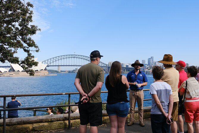 Morning or Afternoon Half-Day Sydney City Sightseeing Tour - The Itinerary: What You’ll See and Do