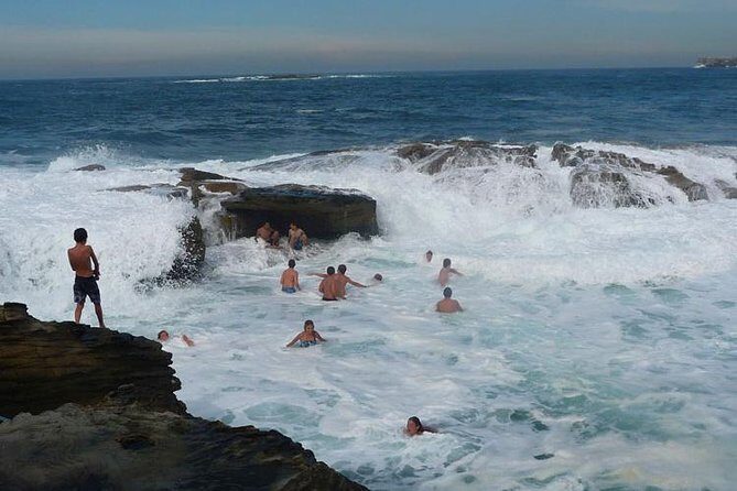 Morning or Afternoon Highlights Tour in Sydney with a Local Guide - What Makes this Tour Stand Out?