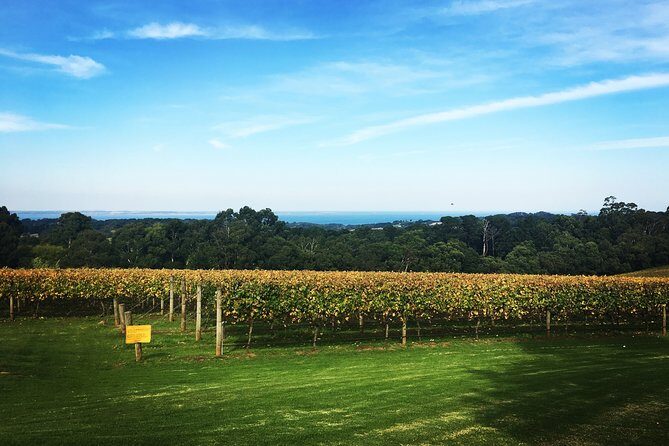 Mornington Peninsula Private Car Winery Tour.1-7 People One Car Price. - FAQ