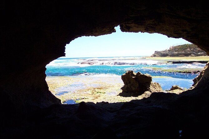 Mornington Peninsula Private Day Tour - What We Love About This Tour