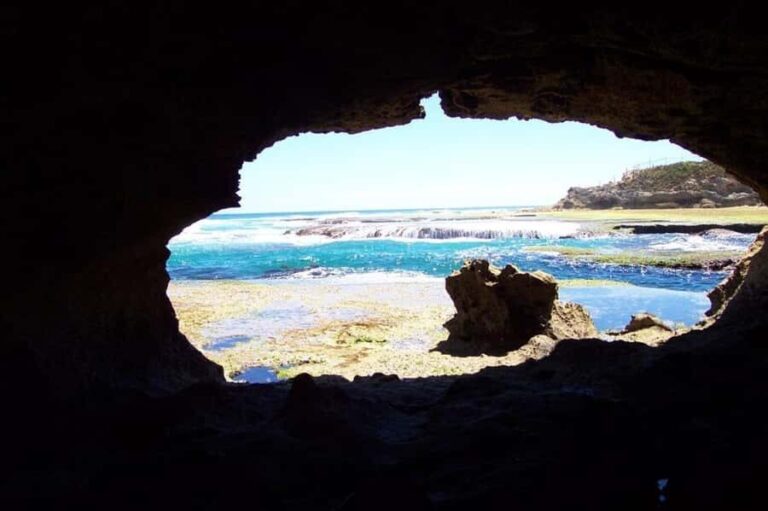 Mornington Peninsula Private Day Tour - What Makes This Tour Stand Out