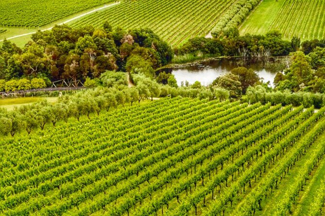 Mornington Peninsula Private Wine Tour. Your day. Your Way. - What Makes This Tour Special?
