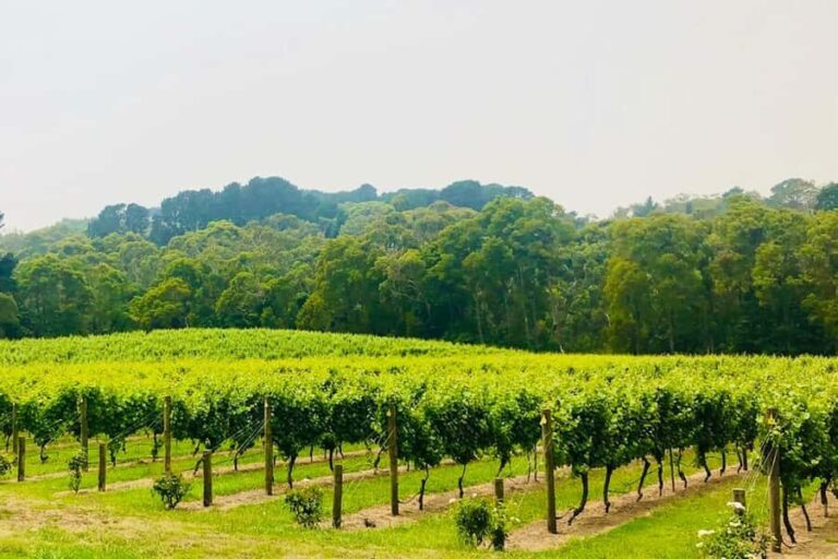 Mornington Peninsula: Self Guided Food & Wine Cycle Tour - Detailed Breakdown of the Itinerary