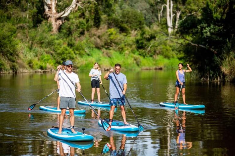 Mornington Peninsula: SUP & Snorkel Safari Tour incl Brunch - Detailed Breakdown of the Itinerary