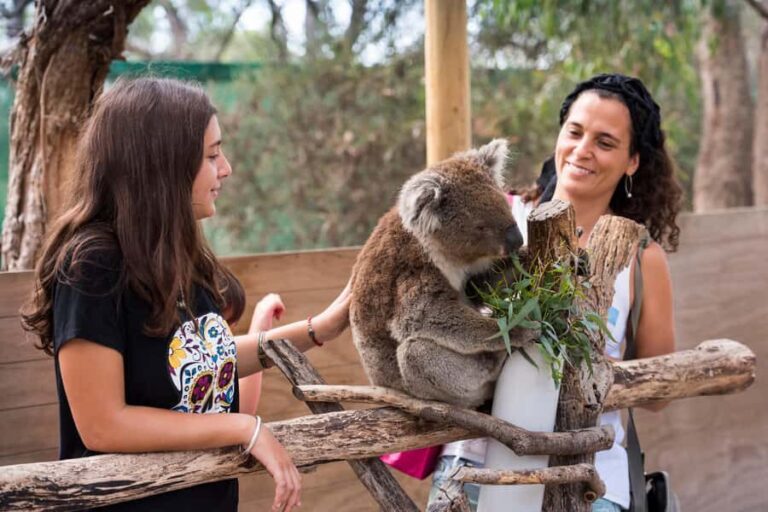 Mornington Peninsula Tour: wildlife, wine, art & hot springs - An Inside Look at the Mornington Peninsula Tour