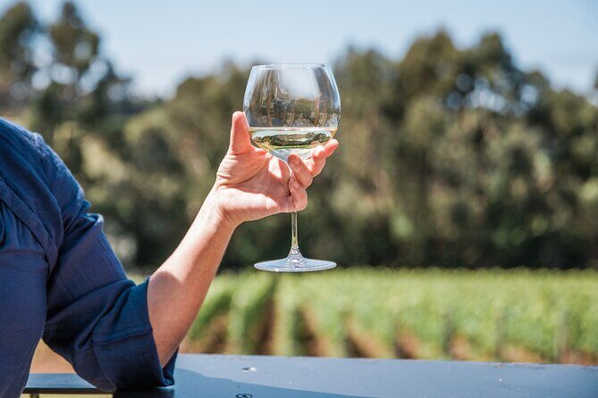 Mornington Peninsula Wine Tasting and Wellness Escape - Why This Tour Is Worth Considering