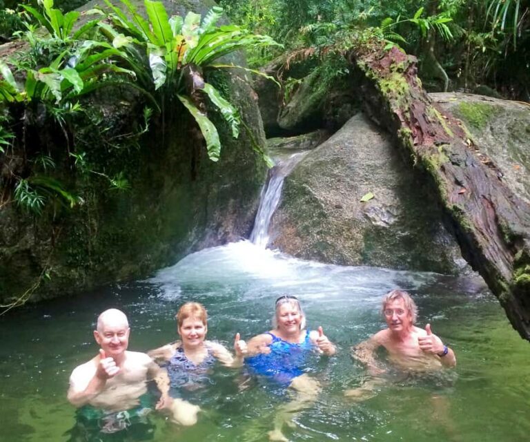 Mossman Gorge: Day Tour with River Drift Experience - Key Points