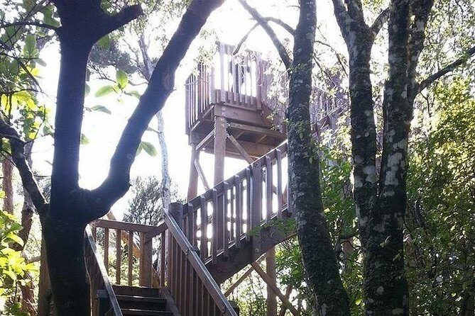 Motuara Island Bird Sanctuary and Ship Cove Cruise from Picton - Authentic Insights from Other Travelers