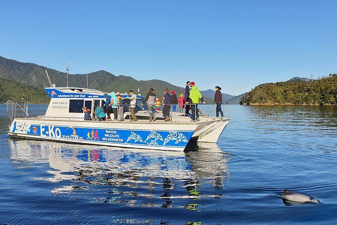Motuara Wildlife Sanctuary Tour and Dolphin Cruise from Picton - Who Will Enjoy This Tour?