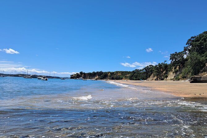 Motuihe Island Day Trip Ferry from Auckland - Practical Details: Transportation, Timing, and Group Size