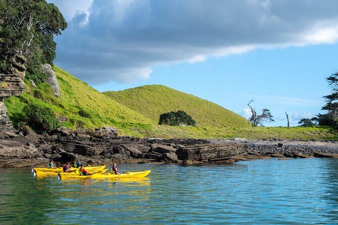 Motukorea / Browns Island Sea Kayak Journey - Why This Tour Offers Great Value