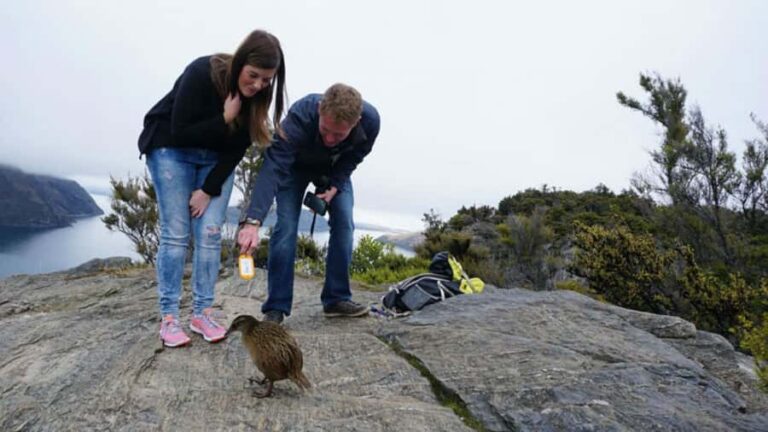 Mou Waho Island: 3-Hour Cruise and Guided Nature Walk - Practical Details and Tips