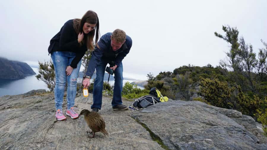 Mou Waho Island: 3-Hour Cruise and Guided Nature Walk - Practical Details and Tips